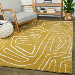 Caitlynn Mid Century Modern Abstract Rug